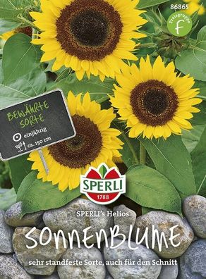 Sperli Sonnenblumen Helios, kompakte Sorte & frühblühend