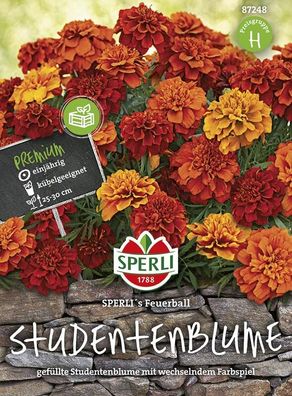 Tagetes Sperli's Feuerball Studentenblume, langanhaltende Blüte