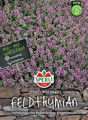 Feldthymian SPERLI's Wild Magic, mehrjährige Gewürz- Zier- und Heilpflanze,