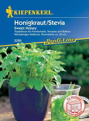 Kiepenkerl Honigkraut Sweet Honey, für Fensterbank Terrasse und Balkon,