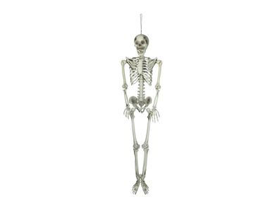 Europalms Halloween Skelett, 150 cm