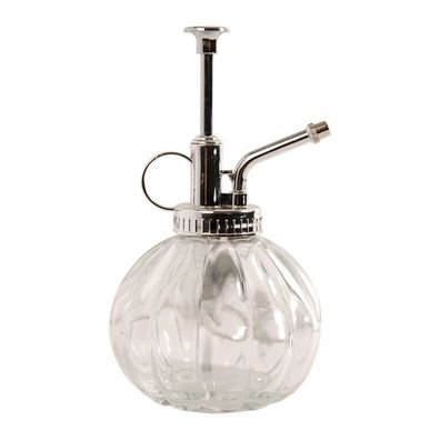 Pflanzensprüher Klar/Silber - Glas - Ø8,8cm - ?15,4cm - 0,25 Liter