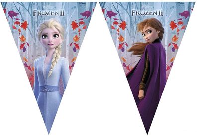 Disney Frozen 2 / Die Eiskönigin - Flaggen Banner 2,3m