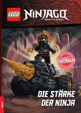 LEGO® NINJAGO® – Die Stärke der Ninja - Buch