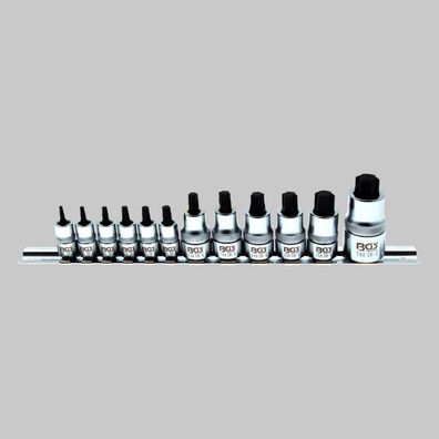 Bitsatz, T-Profil (für Torx) T8 - T60, extra kurz, Bitset Torx 12-tlg