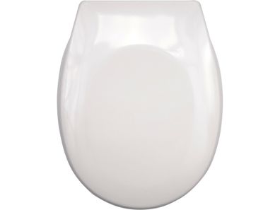 WC-Sitz mit Absenkautomatik