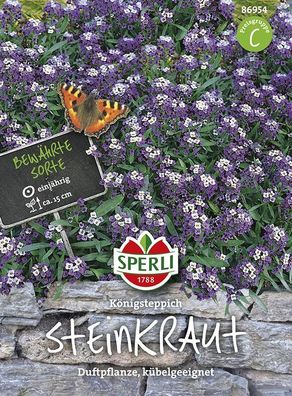 Steinkraut Sperling`s Königsteppich, robust & winterhart