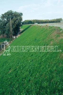 Kiepenkerl Böschungsansaat mit Klee DSV 870 10kg, pflegeleicht & robust