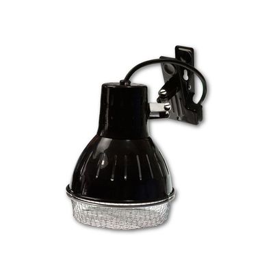 SolarRaptor ClampLamp S - PAR20/30 - Keramikfassung E27