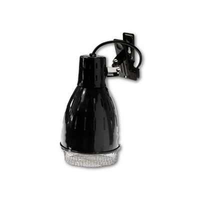SolarRaptor ClampLamp L - PAR38 - Keramikfassung E27