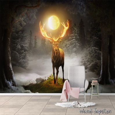 Vlies Fototapete Wandtapete Wandbilder Fantasy Wald Elchball 3259