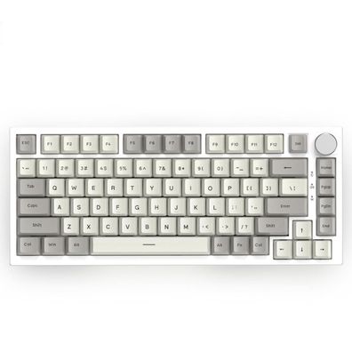 VCCstore-Magnetische mechanische Gaming-Tastatur mit RGB & Hot-Swap, 75%-Layout