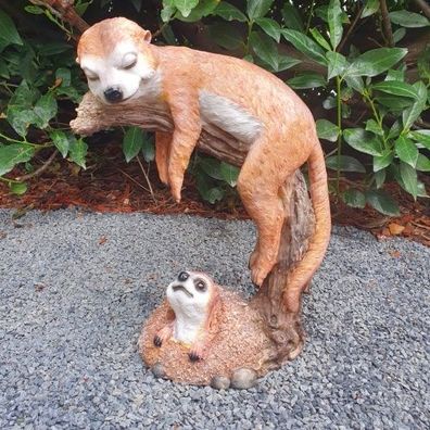 Gartenfigur schlafende Erdmännchen Figur auf Ast 23 cm