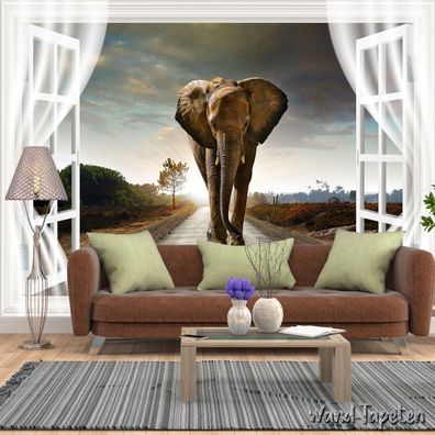 Vlies Fototapete Wandtapete Wandbilder Wandbild 3D Effekt Fenster Elefant 3363