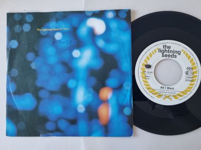 The Lightning Seeds - All I want 7'' Vinyl Germany