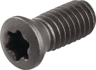 Spannschraube WS0410 Gr. T15 Tecwerk