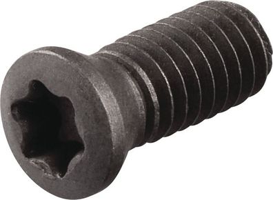 Spannschraube WS0620-S4 Tecwerk