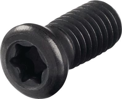 Spannschraube WS0512 Gr. T20 PROMAT