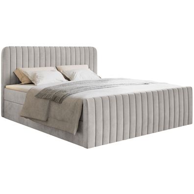 Selsey Saliano - Boxspringbett 200x200 mit Bettkasten, Topper und Samtbezug, Greige