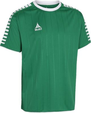 Select Argentina Trikot 600024