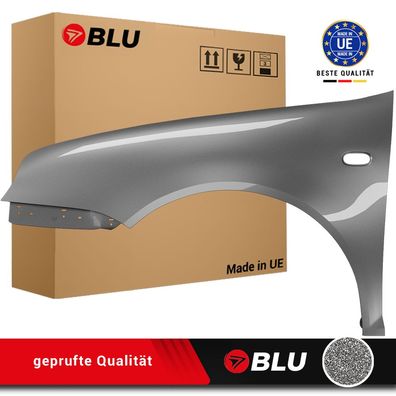 Kotflügel VW GOLF IV 4 LD7V LINKS SILBER 1997-2006 Vorderseite Lackiert NEU Verzinkt