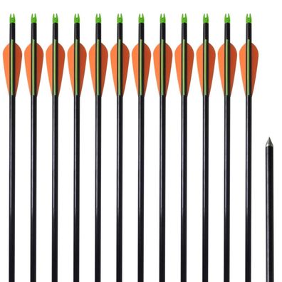 vidaXL Compoundbogen-Pfeile 30" 0,8 cm Fiberglas 12 Stk
