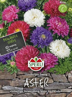 Sperli Sommeraster Lüneburger Zwerg Mischung, ideale Sorte für Beete