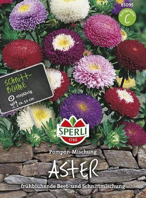 Sperli Astern Pompon Mischung (Sommerastern), haltbare Schnittblume,