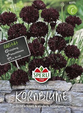 Kornblume Sperling´s Black Beauty, Insektenfreundlich & dekorativ