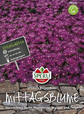 Mittagsblume Sperling´s Blütenmeer, bildet ab Frühsommer einen attraktiven