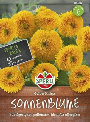 Sperli Sonnenblume Gelber Knirps, kompakte Zwergform