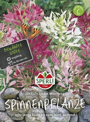 Spinnenpflanze Sperling`s Spider Mischung, exotische Blütenform