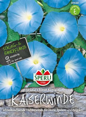 Kaiserwinde Sperli´s blaue Königin, tiefblaue Blütenpracht