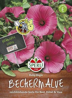 Sperli Bechermalve Ruby Regis, strahlend rote Blüten