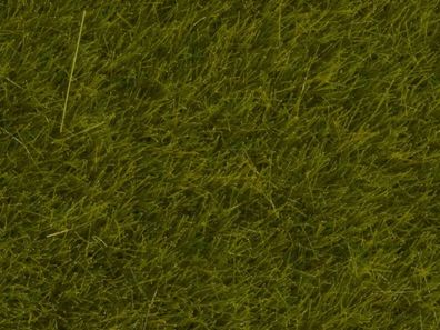 NOCH G,1,0, 0, 0M, 0E, T, , 7100 Wildgras “Wiese”, 6 mm, 50 g
