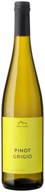 Erste+Neue Pinot Grigio Doc 2024 0.75 L Flasche (Gr. 0.75 L Flasche)