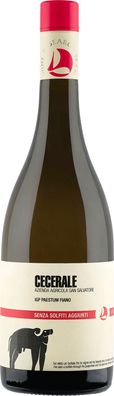 Azienda Agricola San Salvatore Cecerale Fiano 2022 0.75 L Flasche