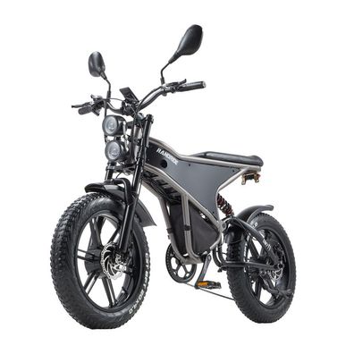 Randrid Climber Elektromotorrad 48V23Ah Elektrofahrrad Doppelmotor 20" x 4.0" Tire