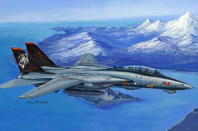 Hobby Boss F-14D Super Tomcat 80368 in 1:48 HobbyBoss 3480368 Bausatz