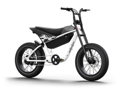 20 Zoll E-Mountainbike Himiway C5 Sport Elektrofahrrad im Motorradstil mit 750W Motor