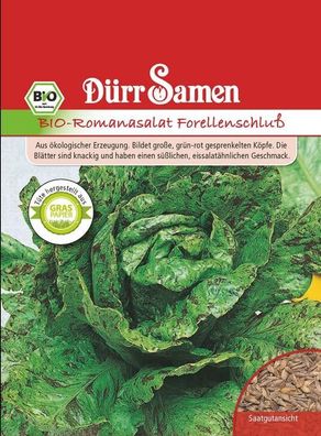 Dürr BIO Romanasalat Forellenschluß, feste, aufrechte Köpfe