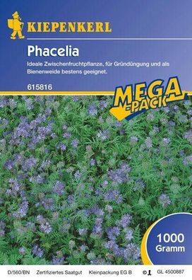 Kiepenkerl Phacelia Bienenweide Gründünger 1kg, bienenfreundlich