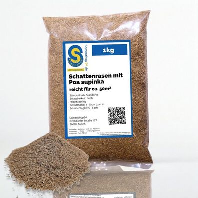 Samenshop24® Schattenrasen mit Poa supina 1kg für 50m²