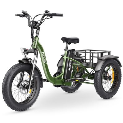 Elektrofahrrad E-Bike Dreirad Tricycle 48V 20Ah 85N.M 20 * 4.0 Zoll Elektrofahrräder