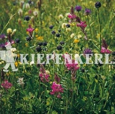 Kiepenkerl Blumenwiesen-Mischung nach LÖBF Kleve-Kellen 1kg