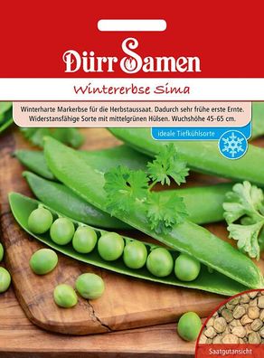 Dürr Wintererbsen Sima, robuste Wintererbsensorte