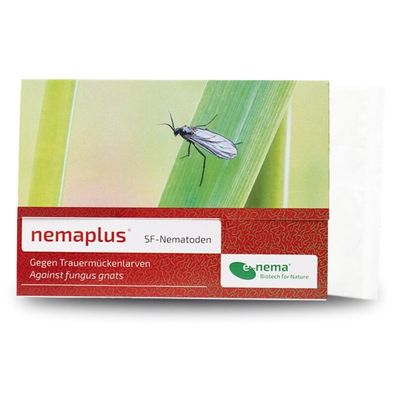NemaPlus SF Nematoden zur Bekämpfung von Trauermücken 6 Mio für 12qm