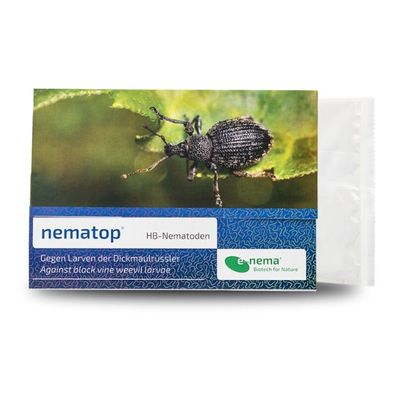 NemaTop HB Nematoden zur Bekämpfung des Dickmaulrüsslers 50 Mio für 100qm