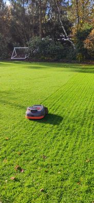Segway Navimow H1500E-VF Mähroboter für bis zu 1.500m² - GPS RTK VisionFence App-Ste