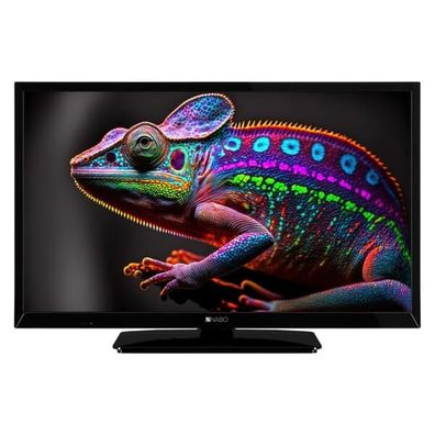 Nabo 24LA4912 HD ready HDR 400 CMP LED-TV 24" (60 cm)